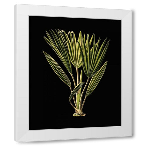 Green Leaves on Black V White Modern Wood Framed Art Print by Vision Studio