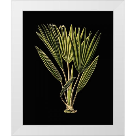 Green Leaves on Black V White Modern Wood Framed Art Print by Vision Studio