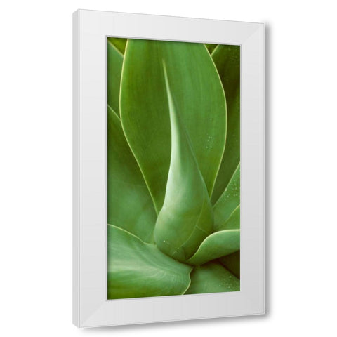 Patterned Nature I White Modern Wood Framed Art Print by Vision Studio