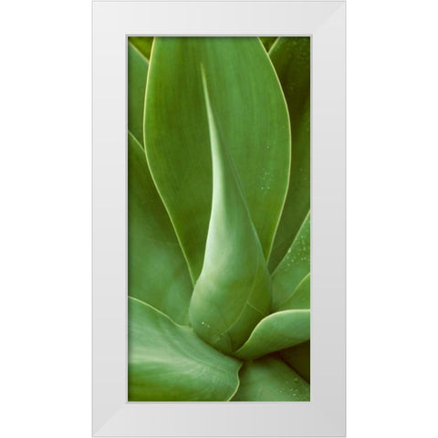Patterned Nature I White Modern Wood Framed Art Print by Vision Studio