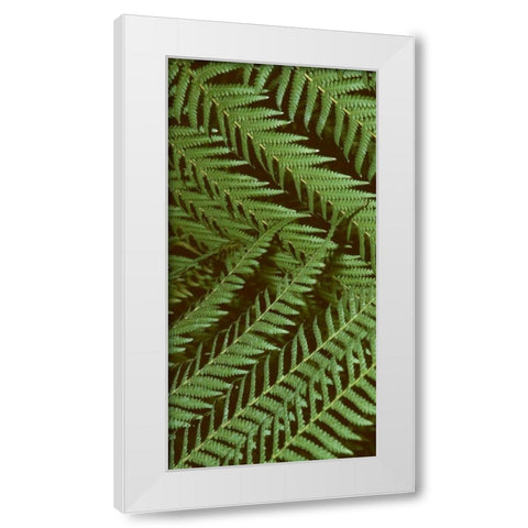 Patterned Nature II White Modern Wood Framed Art Print by Vision Studio