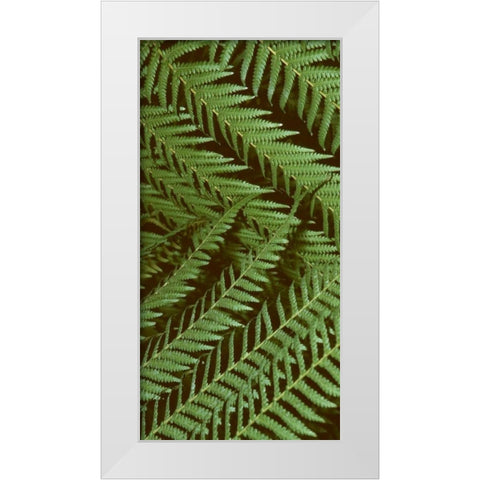 Patterned Nature II White Modern Wood Framed Art Print by Vision Studio