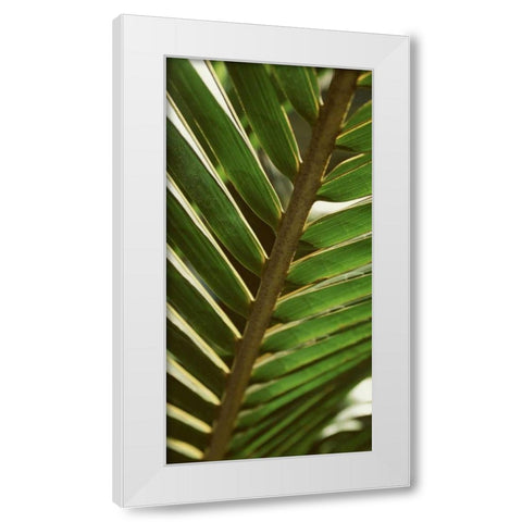 Patterned Nature IV White Modern Wood Framed Art Print by Vision Studio