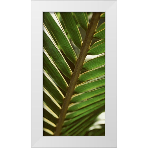 Patterned Nature IV White Modern Wood Framed Art Print by Vision Studio