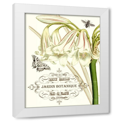 Jardin Botanique I White Modern Wood Framed Art Print by Vision Studio