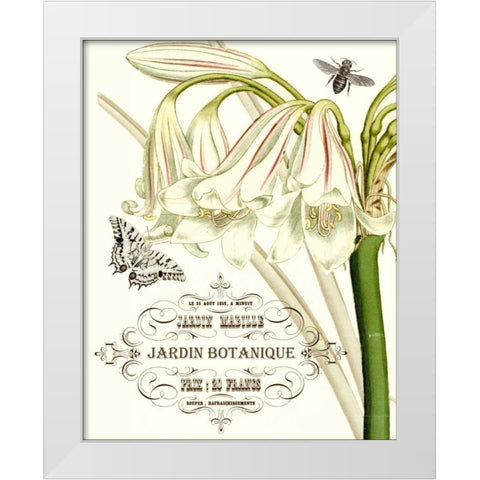 Jardin Botanique I White Modern Wood Framed Art Print by Vision Studio