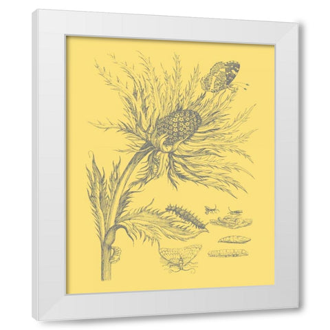 Natures Optimism I White Modern Wood Framed Art Print by Vision Studio