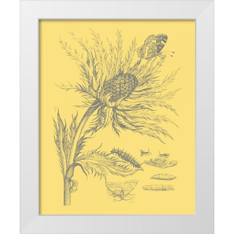 Natures Optimism I White Modern Wood Framed Art Print by Vision Studio