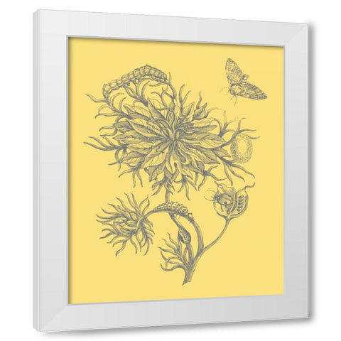 Natures Optimism II White Modern Wood Framed Art Print by Vision Studio