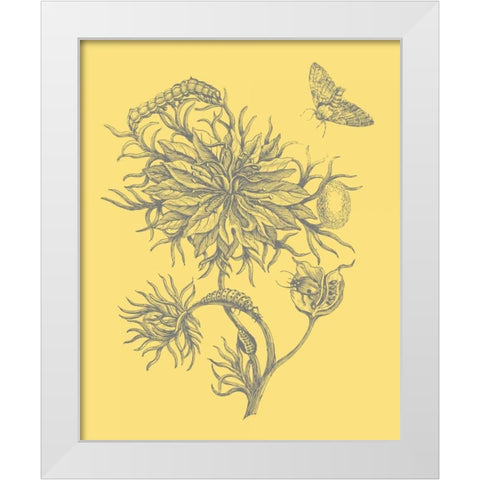 Natures Optimism II White Modern Wood Framed Art Print by Vision Studio