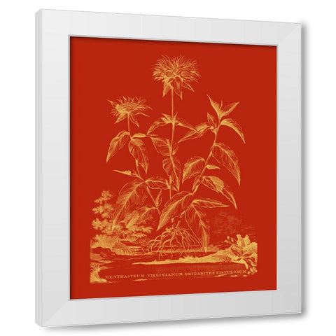 Paprika Bouquet II White Modern Wood Framed Art Print by Vision Studio