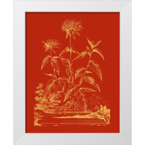 Paprika Bouquet II White Modern Wood Framed Art Print by Vision Studio