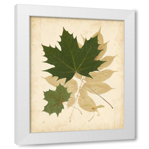 Natures Collage I White Modern Wood Framed Art Print by Vision Studio