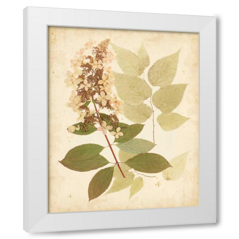 Natures Collage III White Modern Wood Framed Art Print by Vision Studio