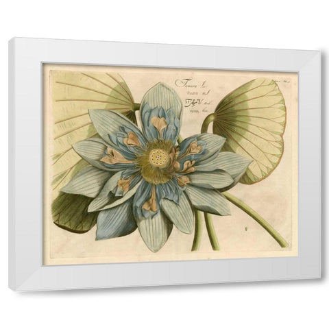 Blue Lotus Flower I White Modern Wood Framed Art Print by Vision Studio