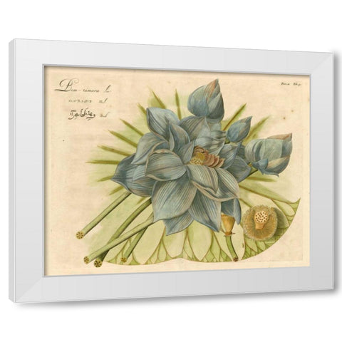 Blue Lotus Flower II White Modern Wood Framed Art Print by Vision Studio