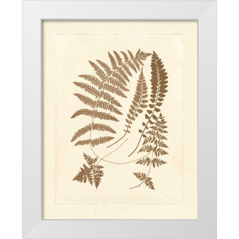 Sepia Ferns II White Modern Wood Framed Art Print by Vision Studio