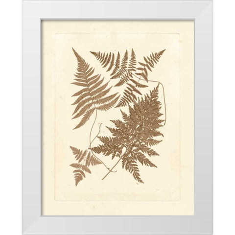 Sepia Ferns VI White Modern Wood Framed Art Print by Vision Studio