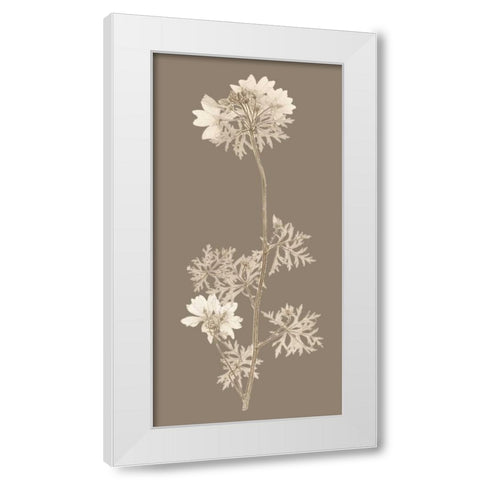 Taupe Nature Study II White Modern Wood Framed Art Print by Vision Studio
