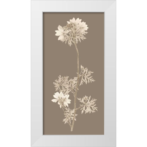 Taupe Nature Study II White Modern Wood Framed Art Print by Vision Studio