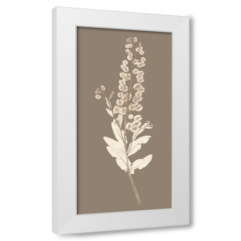 Taupe Nature Study III White Modern Wood Framed Art Print by Vision Studio