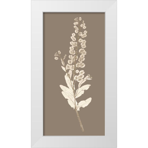 Taupe Nature Study III White Modern Wood Framed Art Print by Vision Studio
