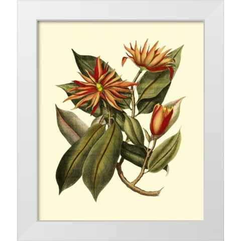 Magnificent Foliage I White Modern Wood Framed Art Print by Vision Studio