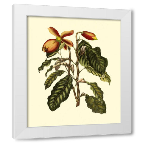 Magnificent Foliage II White Modern Wood Framed Art Print by Vision Studio