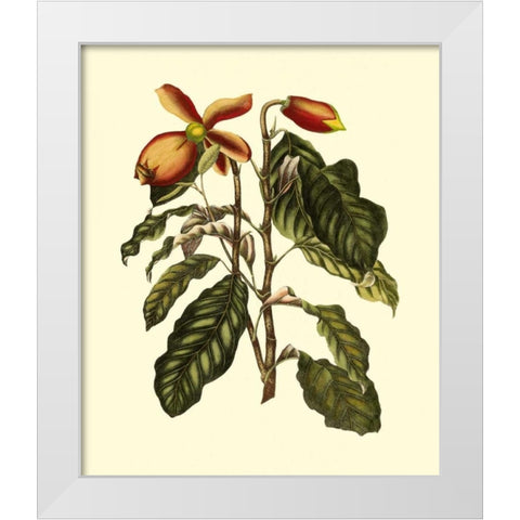 Magnificent Foliage II White Modern Wood Framed Art Print by Vision Studio