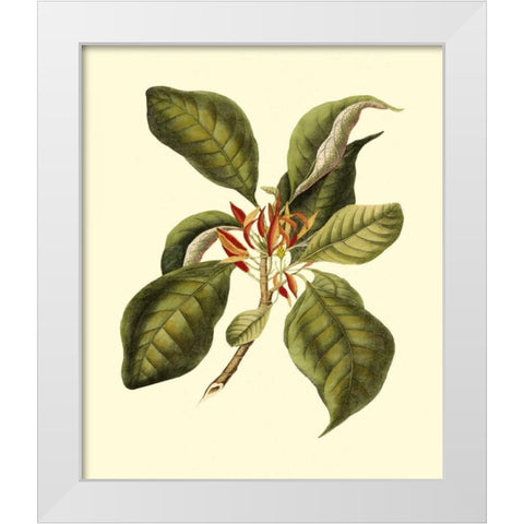 Magnificent Foliage III White Modern Wood Framed Art Print by Vision Studio