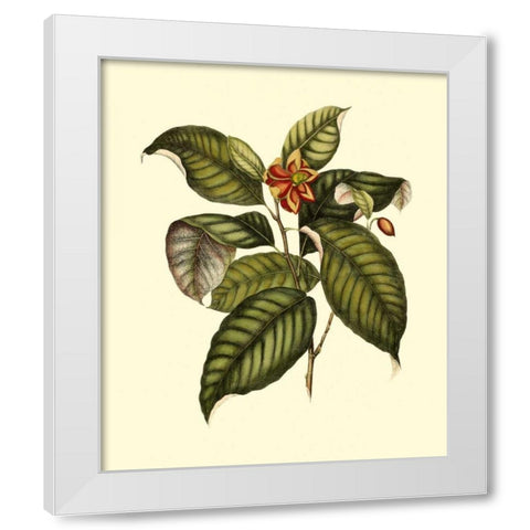 Magnificent Foliage IV White Modern Wood Framed Art Print by Vision Studio
