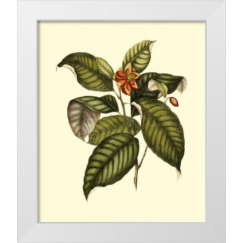Magnificent Foliage IV White Modern Wood Framed Art Print by Vision Studio