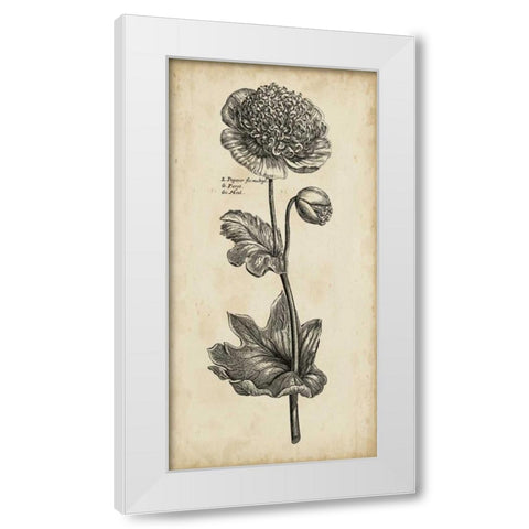 Singular Beauty I White Modern Wood Framed Art Print by Vision Studio