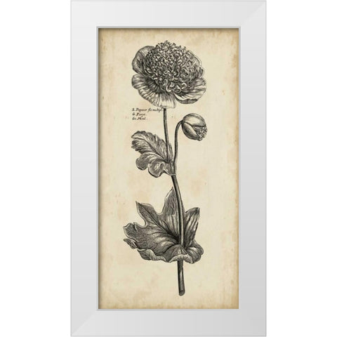 Singular Beauty I White Modern Wood Framed Art Print by Vision Studio