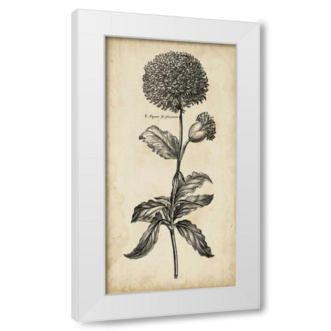 Singular Beauty II White Modern Wood Framed Art Print by Vision Studio