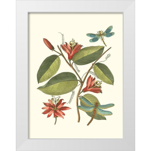 Midsummer Floral IV White Modern Wood Framed Art Print by Vision Studio