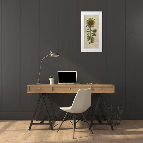 Sunflower Fresco I White Modern Wood Framed Art Print by Vision Studio