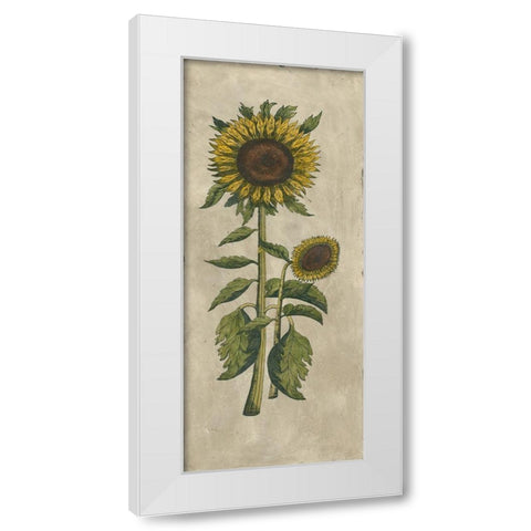 Sunflower Fresco I White Modern Wood Framed Art Print by Vision Studio