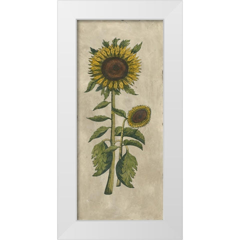 Sunflower Fresco I White Modern Wood Framed Art Print by Vision Studio