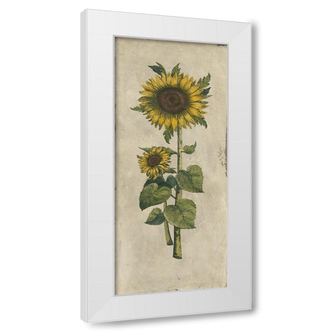 Sunflower Fresco II White Modern Wood Framed Art Print by Vision Studio
