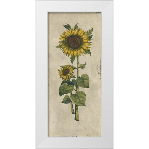 Sunflower Fresco II White Modern Wood Framed Art Print by Vision Studio
