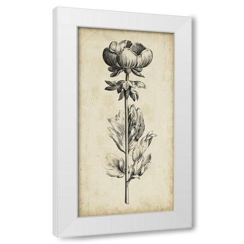Singular Beauty III White Modern Wood Framed Art Print by Vision Studio