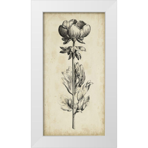 Singular Beauty III White Modern Wood Framed Art Print by Vision Studio