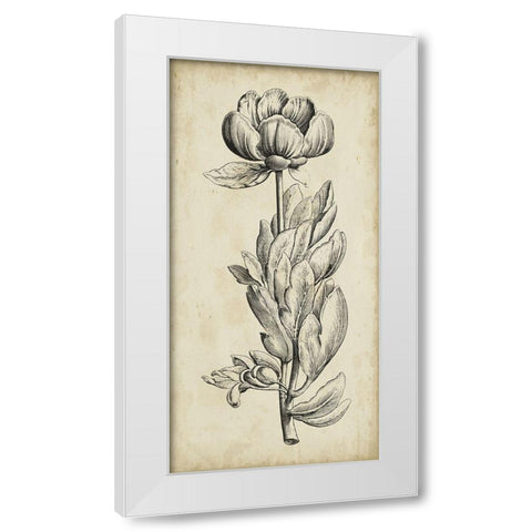Singular Beauty IV White Modern Wood Framed Art Print by Vision Studio