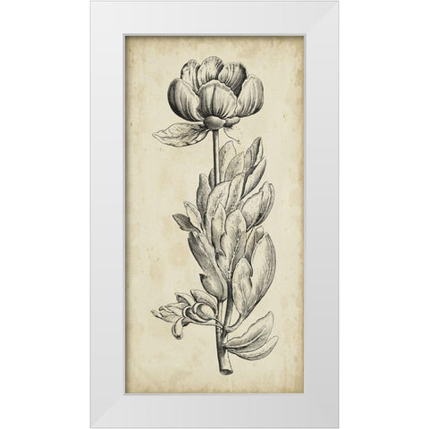 Singular Beauty IV White Modern Wood Framed Art Print by Vision Studio