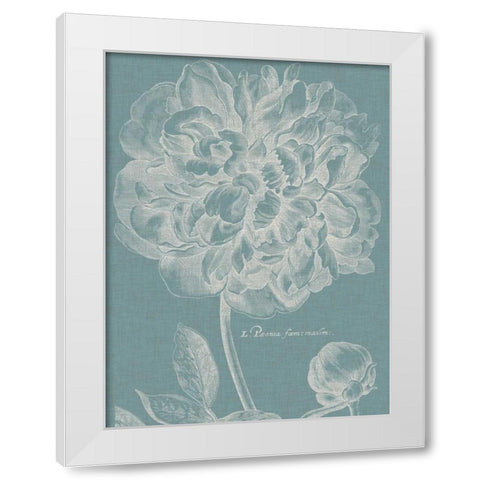 Graceful Peony I White Modern Wood Framed Art Print by Vision Studio