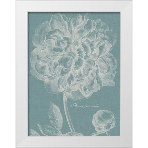 Graceful Peony I White Modern Wood Framed Art Print by Vision Studio