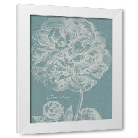 Graceful Peony II White Modern Wood Framed Art Print by Vision Studio