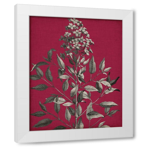 Vivid Chintz IV White Modern Wood Framed Art Print by Vision Studio