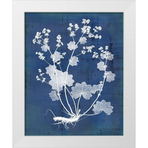 Natures Imprint I White Modern Wood Framed Art Print by Vision Studio